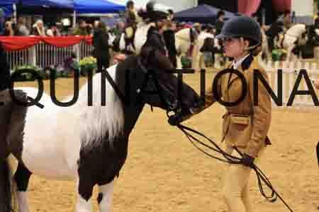 XAR-4301
