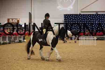 XAR-4613