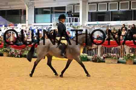 ZIP-2989