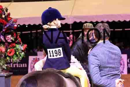 ZIP-3051