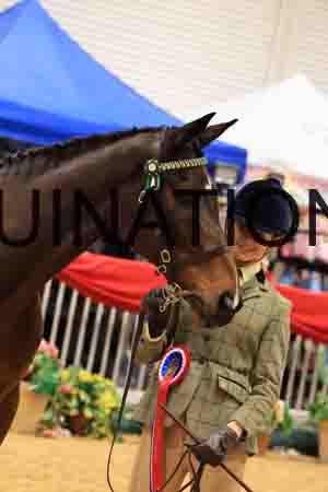 RAZ-1229