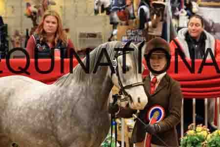 RAZ-1494