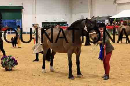 RAZ-1665