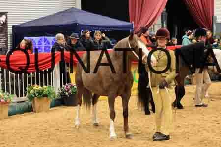 RAZ-1938