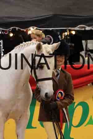 RAZ-2011