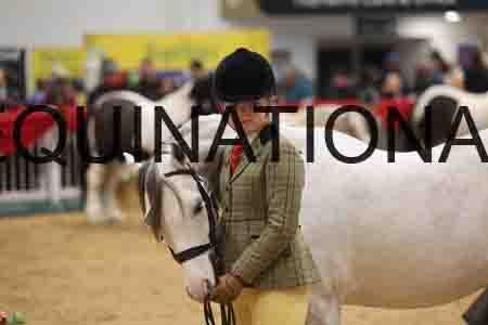 RAZ-2013