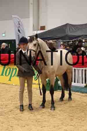RAZ-3699