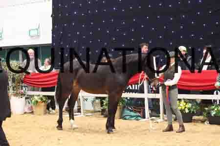 RAZ-3796