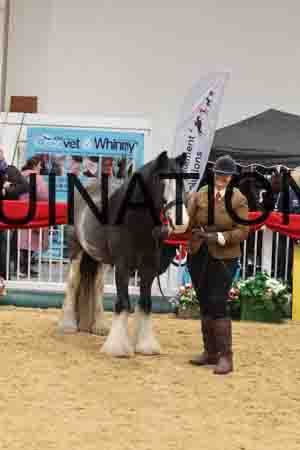 RAZ-3891