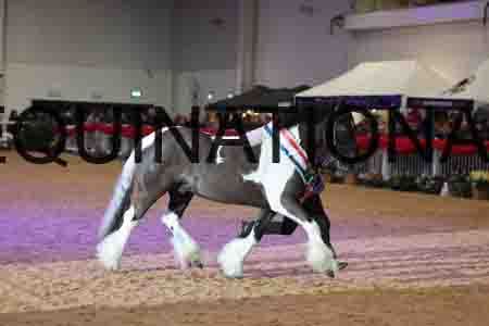 RAZ-4851