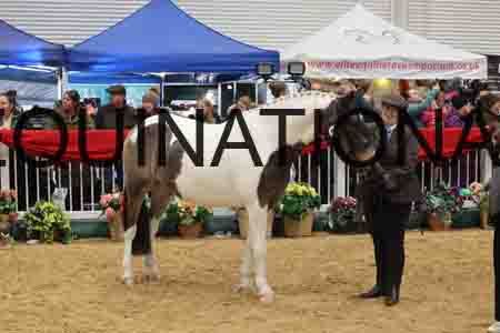 YUE-1232