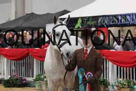 YUE-1960