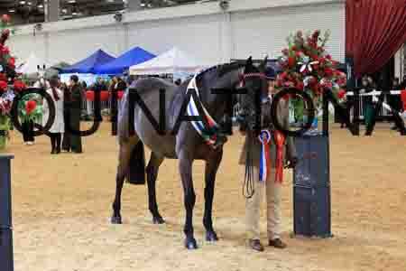 YUE-2040