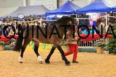 YUE-2221