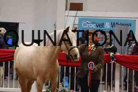 YUE-3035
