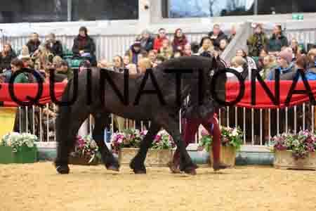 YUE-3256