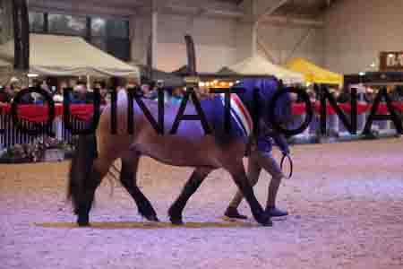 YUE-3273