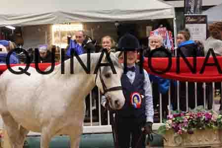 ZIP-1538