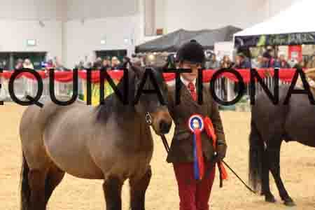 ZIP-1657