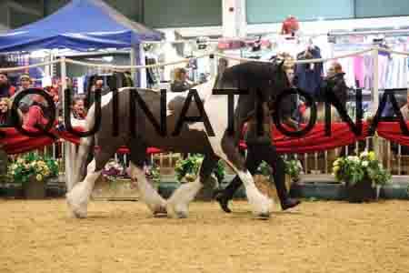 ZIP-1939