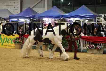 ZIP-1971