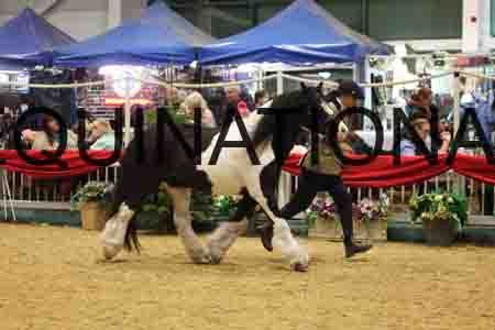 ZIP-2012
