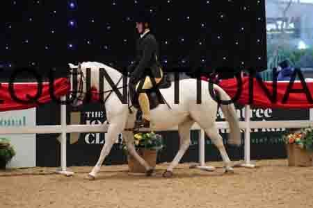 THP-1597