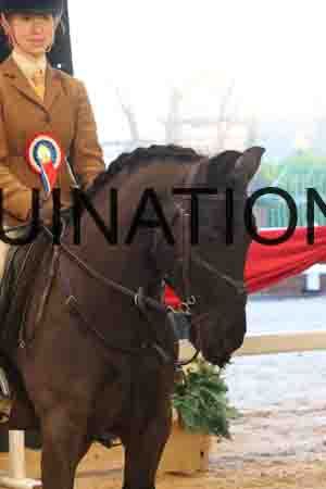 THP-1798