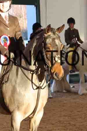 THP-1861