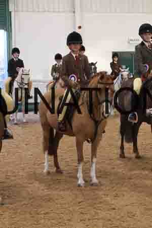 THP-1881
