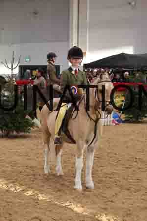 THP-1937