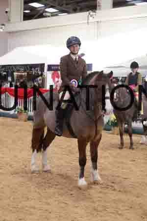 THP-2004
