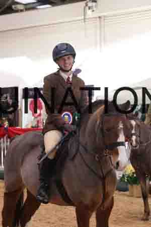 THP-2005