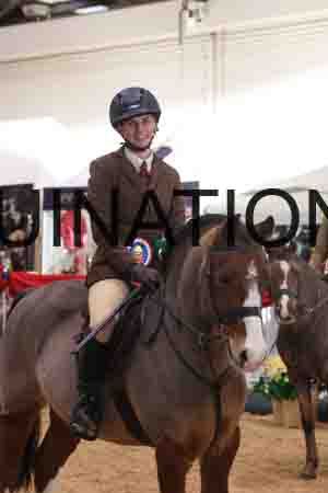 THP-2006