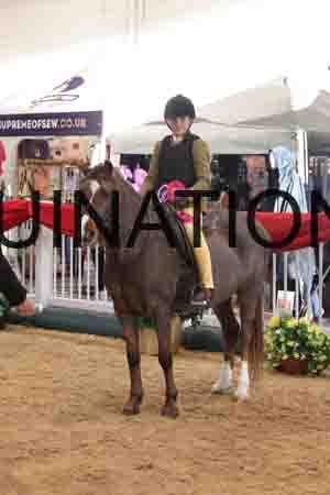 THP-2007