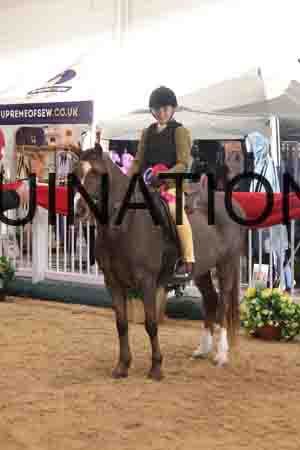 THP-2008