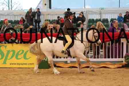 THP-2037