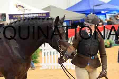 THP-3723
