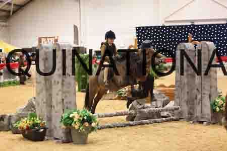 THP-6076