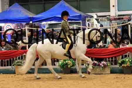 THP-7884