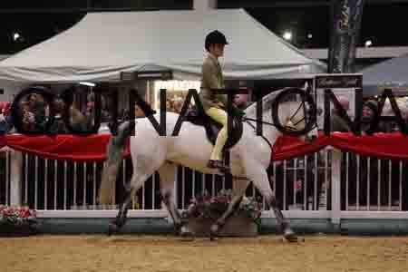 THP-8348