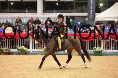 THP-8490
