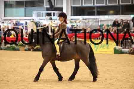 THP-8518